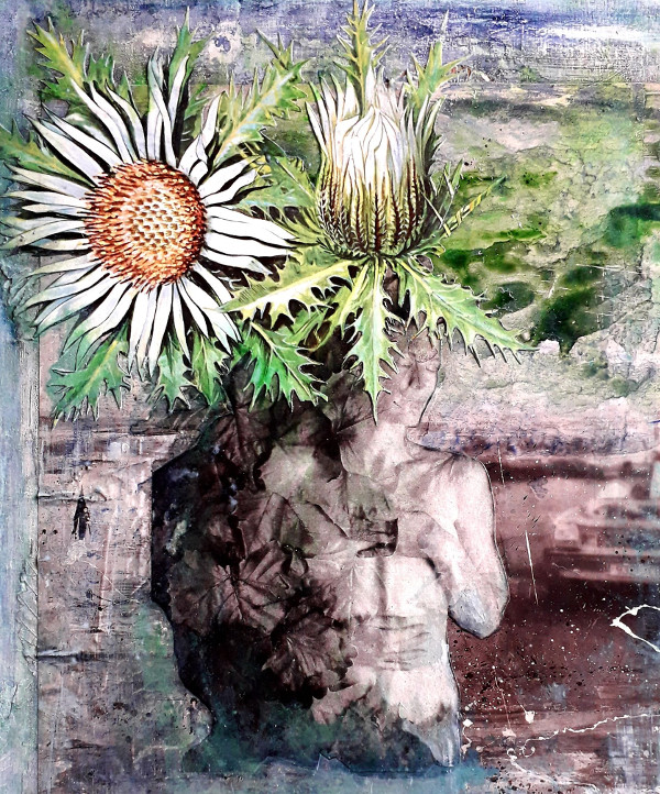 brésil fleurs fruits papillon